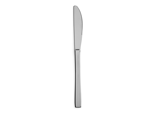 HOTEL middagskniv L:214mm 18% kromstål