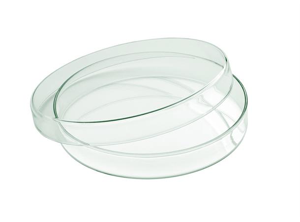 Glassskål gourmet m/lokk Ø:80mm