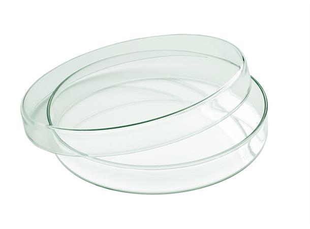 Glassskål gourmet m/lokk Ø:150mm