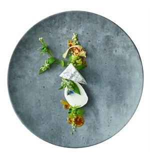 TEMPTASTE tallerken coupe Ø:280mm BET. M Ø:281mm H:23mm Dekor: BETONG MATT 