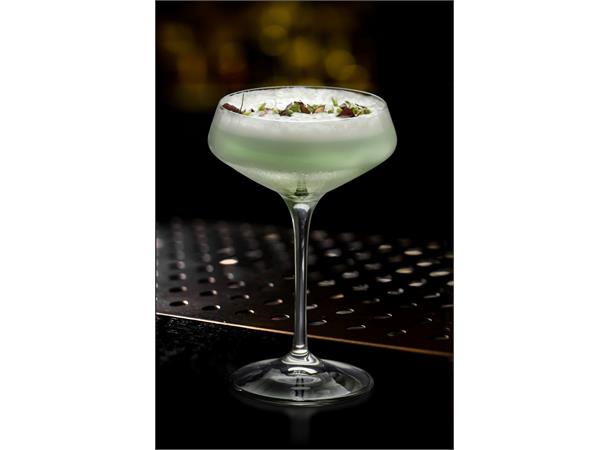 Champagneskål/cocktailglass 33cl ARIA Ø:114mm H:170mm 33cl