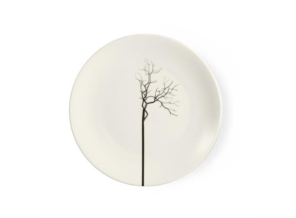 Black Forest tallerken flat coup Ø:260 Fine Bone China