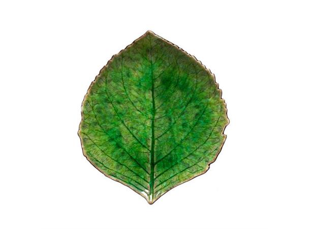 RIVIERA Hydrangea blad L:170mm B:150mm Steingods - Grønn