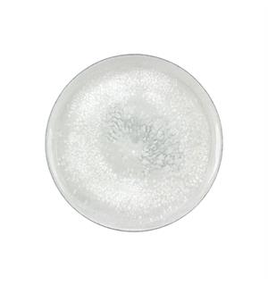 Tallerken coupe Ø:17cm SMART, Salt Høybrent porselen 