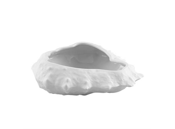 CHEF's COLLECTION krabbe skjell porselen 19x18cm Høybrent feltspatsporselen