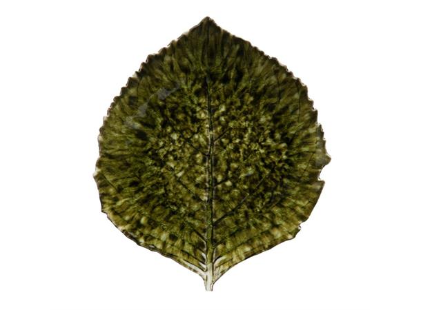 RIVIERA Hydrangea blad L:220mm B:190mm Steingods - Dyp grønn