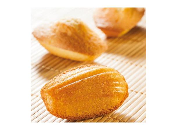 Gastroflex Madeleines 68x38x8mm -9 rom Non-stick form GN1/3 - 300x176mm
