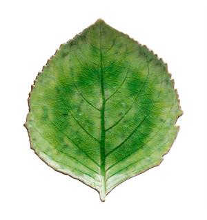 RIVIERA Hydrangea blad L:220mm B:190mm Steingods - Grønn 
