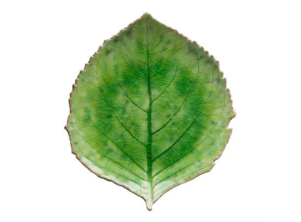 RIVIERA Hydrangea blad L:220mm B:190mm Steingods - Grønn